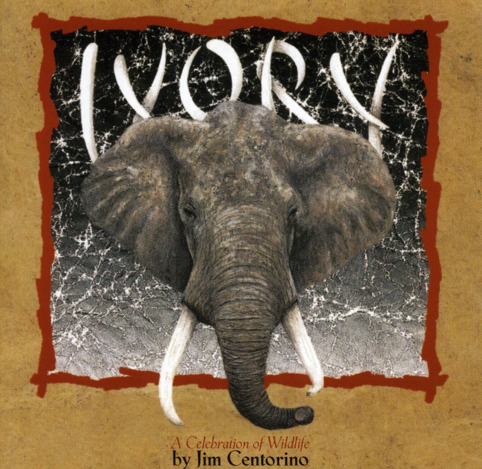 IVORY A CELEBRATION OF WILDLIFE