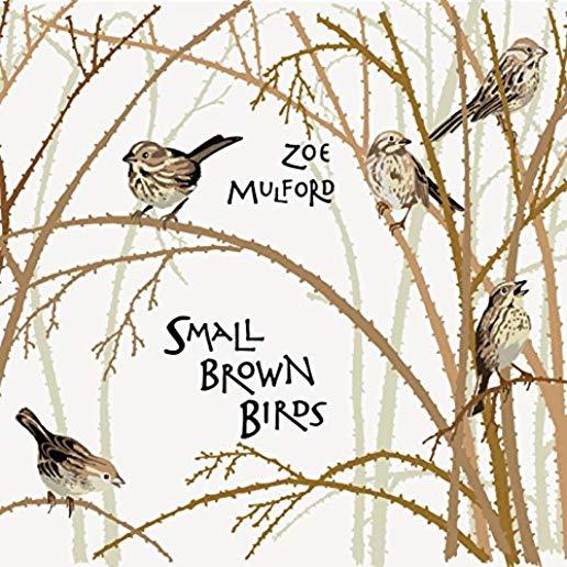 SMALL BROWN BIRDS