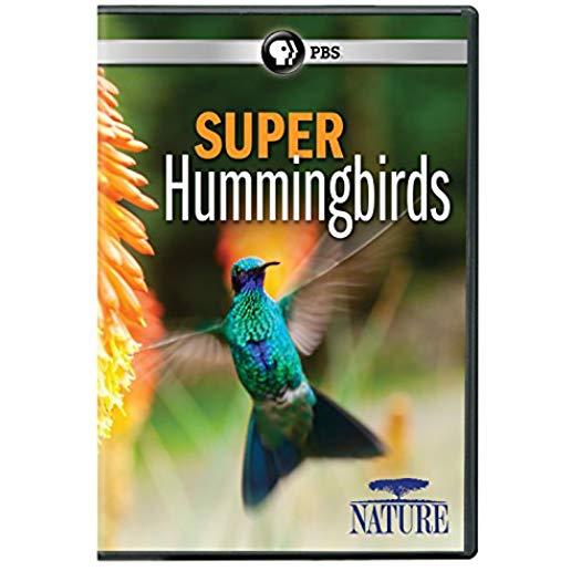 NATURE: SUPER HUMMINGBIRDS