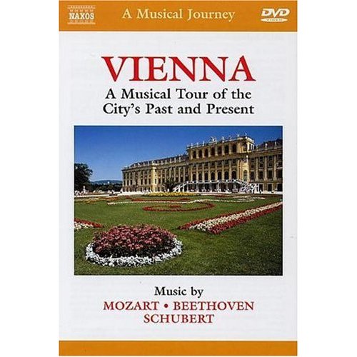 MUSICAL JOURNEY: VIENNA MUSICAL TOUR CITY'S PAST