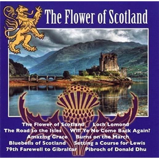 FLOWER OF SCOTLAND / VARIOUS (UK)