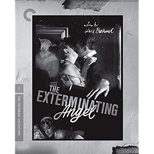 EXTERMINATING ANGEL/BD