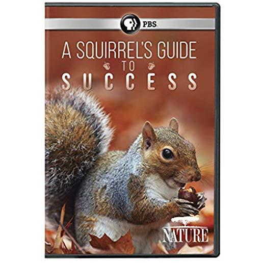 NATURE: A SQUIRREL'S GUIDE TO SUCCESS