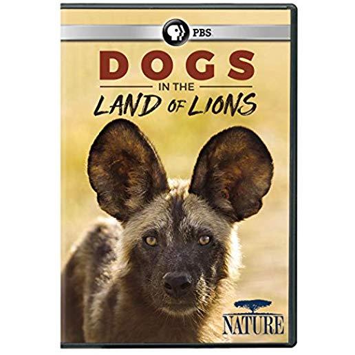 NATURE: DOGS IN THE LAND OF LIONS