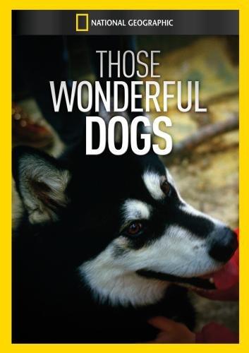 THOSE WONDERFUL DOGS / (MOD NTSC)