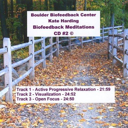 BIOFEEDBACK MEDITATIONS 2 (CDR)