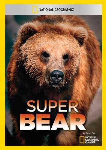 SUPER BEAR / (MOD NTSC)