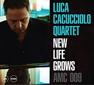 NEW LIFE GROWS (ITA)