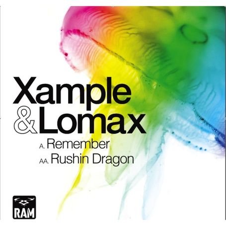 REMEMBER-RUSHIN DRAGON (FRA)