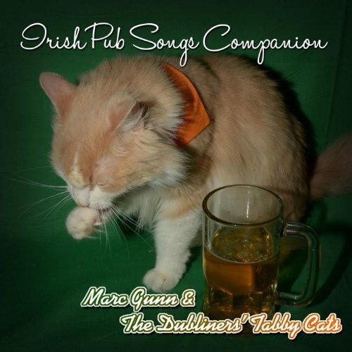 IRISH PUB SONGS COMPANION (CDR)