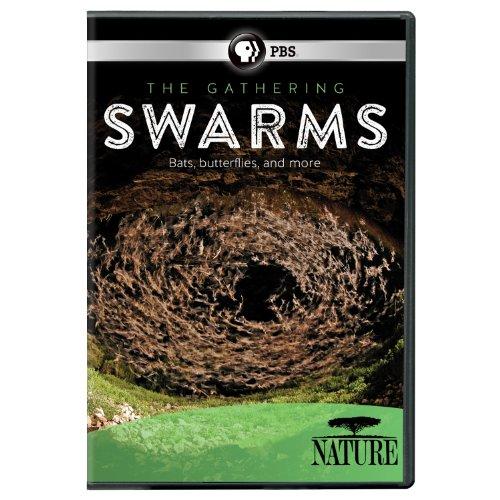 NATURE: THE GATHERING OF SWARMS