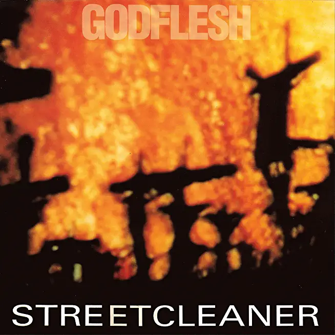 STREETCLEANER (DIG) (REIS)