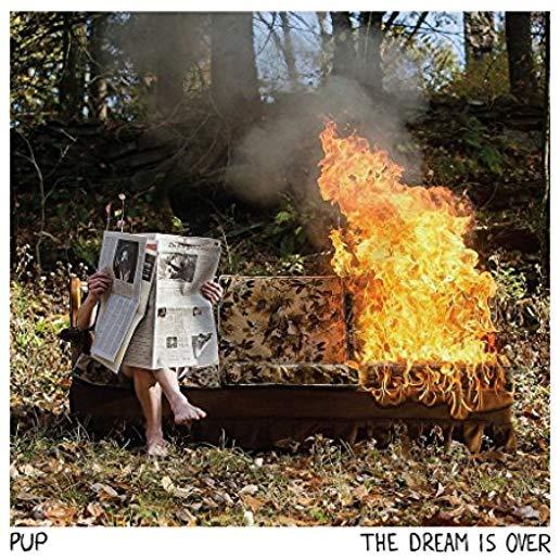 DREAM IS OVER (MILKY CLEAR VINYL) (CVNL) (GATE)