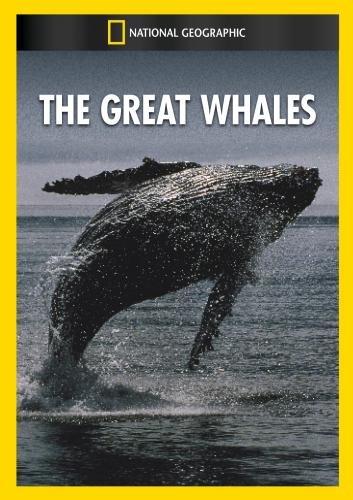 GREAT WHALES / (MOD NTSC)