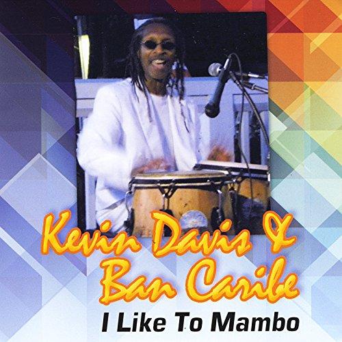 I LIKE TO MAMBO (CDR)