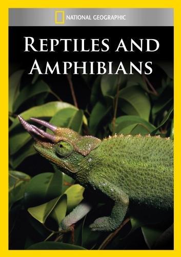 REPTILES & AMPHIBIANS / (MOD NTSC)