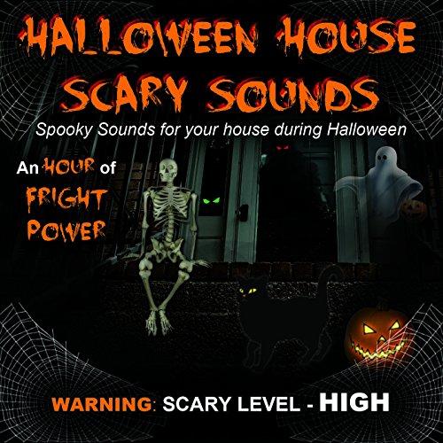 HALLOWEEN HOUSE SCARY SOUNDS