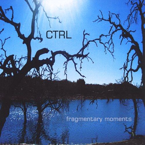 FRAGMENTARY MOMENTS (CDR)