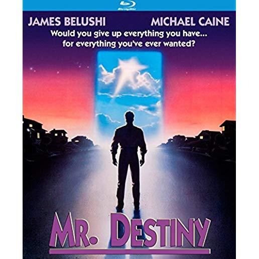 MR DESTINY (1990)