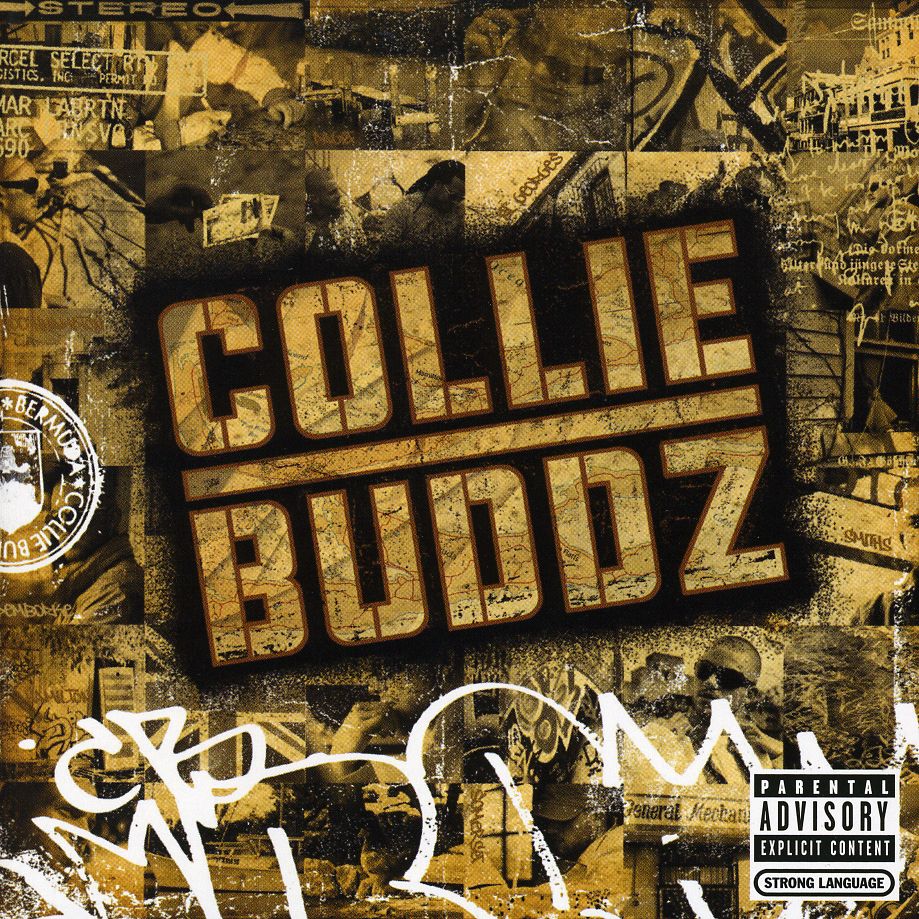 COLLIE BUDDZ