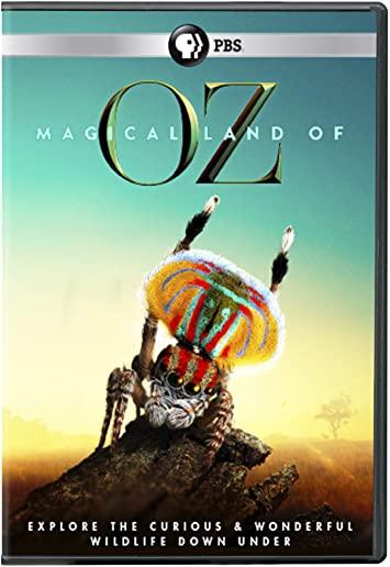 MAGICAL LAND OF OZ