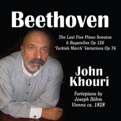 BEETHOVEN 5 LAST PIANO SONATAS (CDRP)