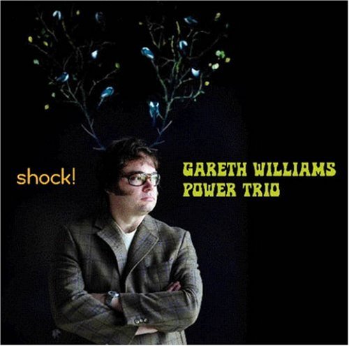 SHOCK: GARETH WILLIAMS POWER TRIO