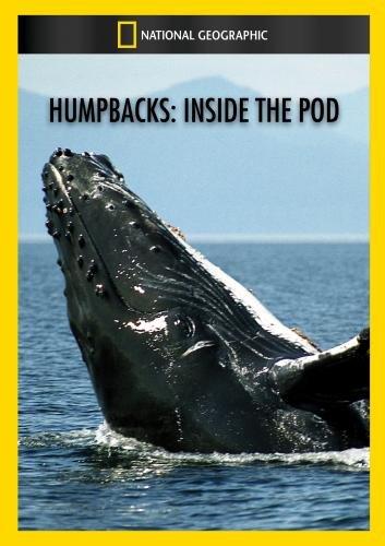 HUMPBACKS: INSIDE THE POD / (MOD NTSC)