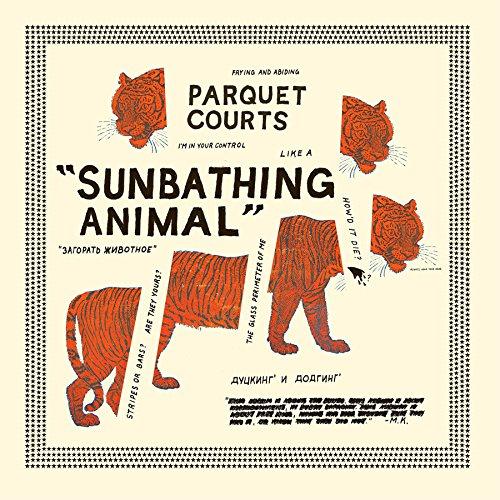 SUNBATHING ANIMAL + CONTENT NAUSEA