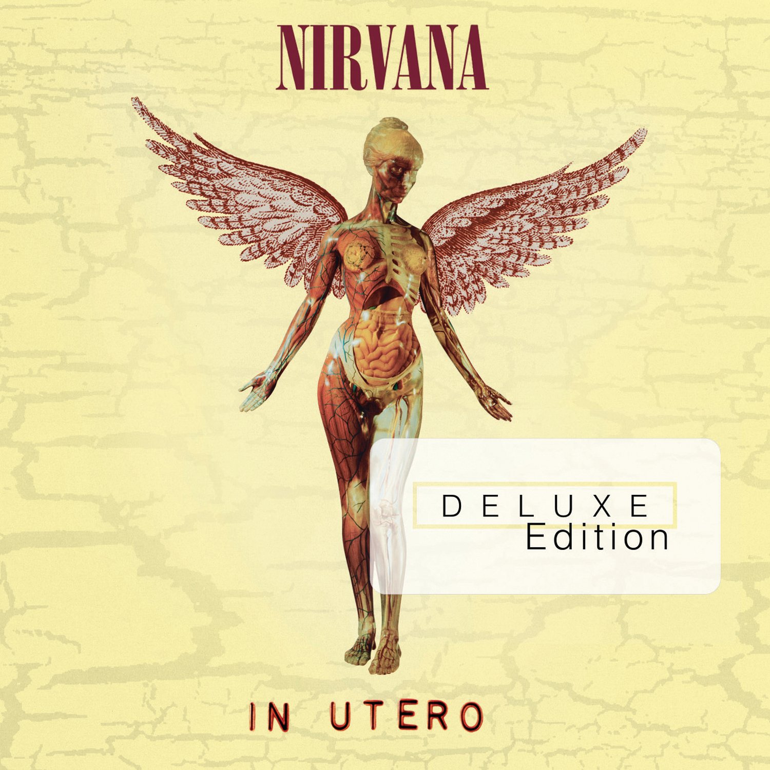 IN UTERO (20TH ANNIVERSARY EDITION) (ANIV)