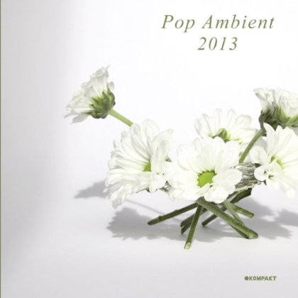 POP AMBIENT 2013 / VARIOUS