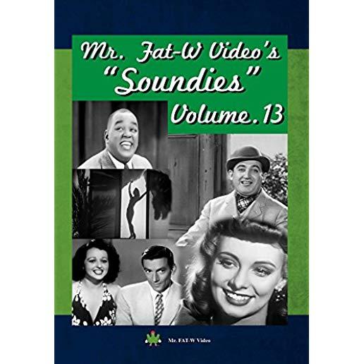 SOUNDIES 13 / (MOD)