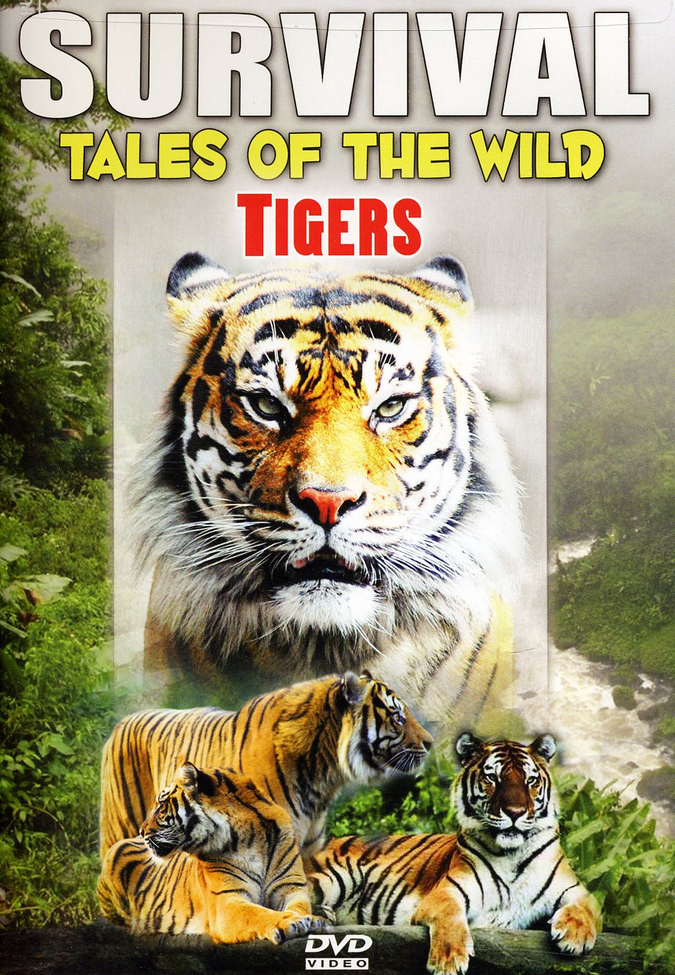 SURVIVAL: TALES OF THE WILD - TIGERS