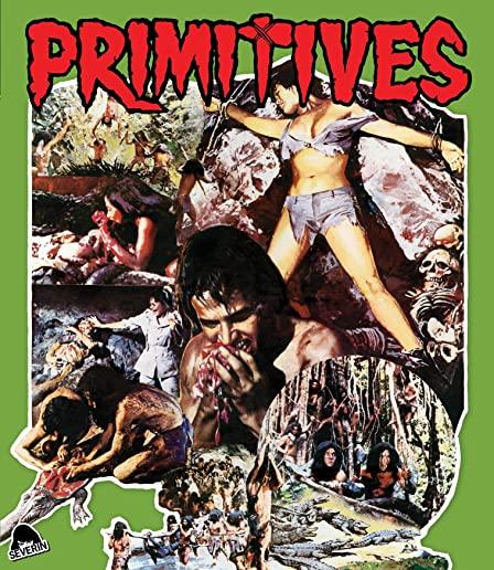 PRIMITIVES