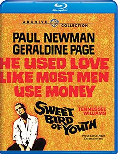 SWEET BIRD OF YOUTH (1962) / (MOD AMAR SUB)