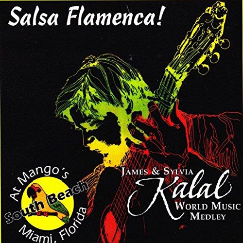 SALSA FLAMENCA