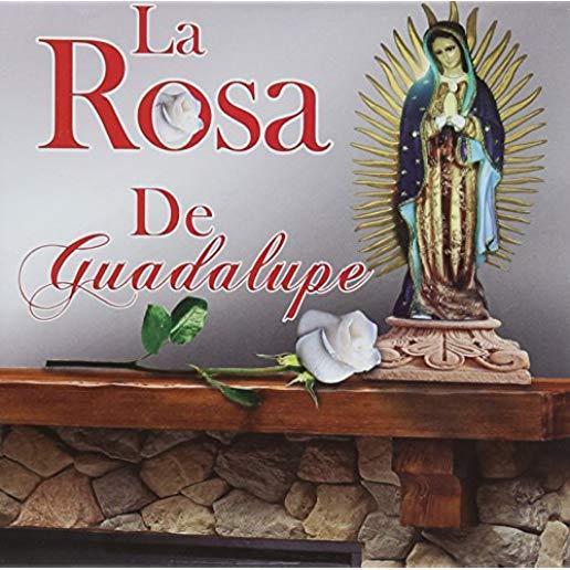 LA ROSA DE GUADALUPE