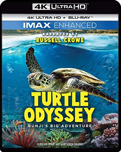 TURTLE ODYSSEY (4K) (WBR) (2PK) (WS)