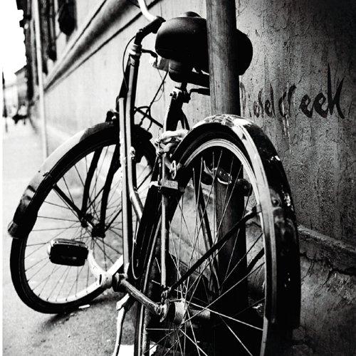 BICYCLE RIDE (CDR)