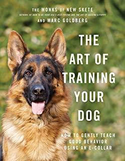 ART OF TRAINING YOUR DOG (HCVR)