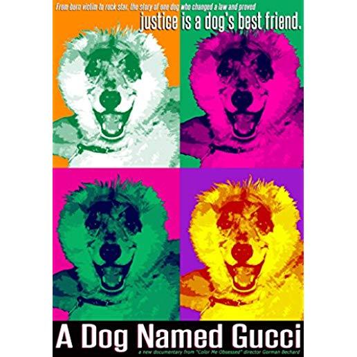 DOG NAMED GUCCI