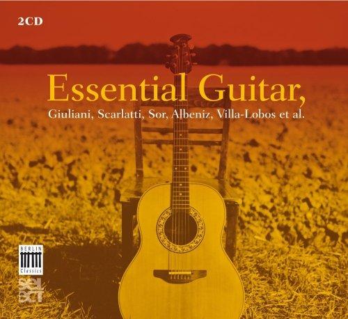 ESSENTIAL GUITAR (DIG)