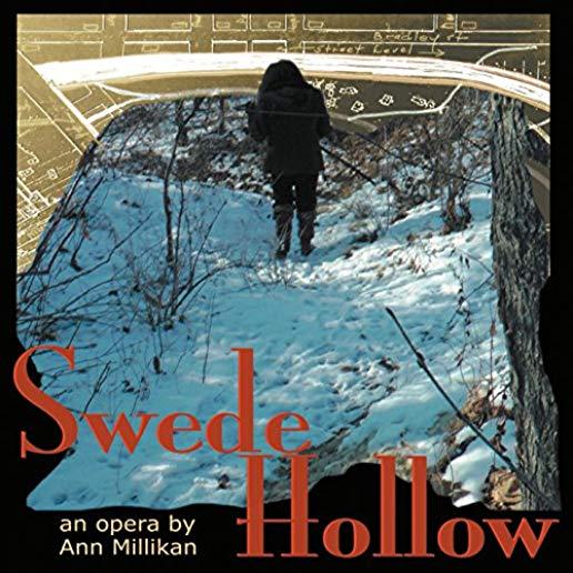 ANN MILLIKAN: SWEDE HOLLOW