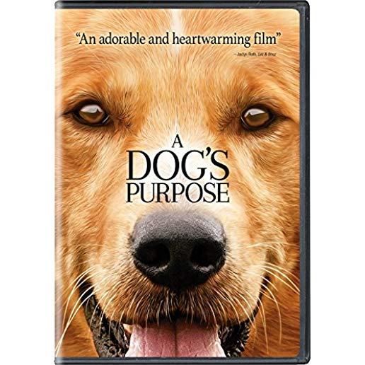 DOG'S PURPOSE / (SLIP SNAP)