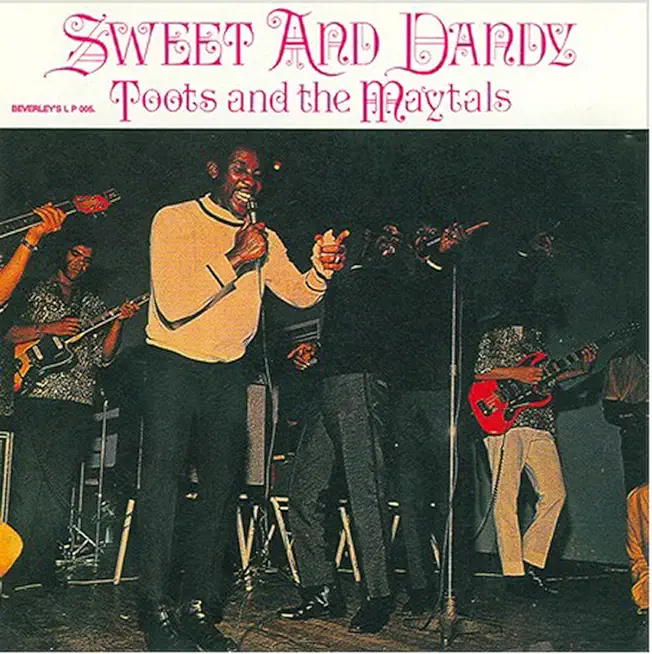 SWEET & DANDY (UK)