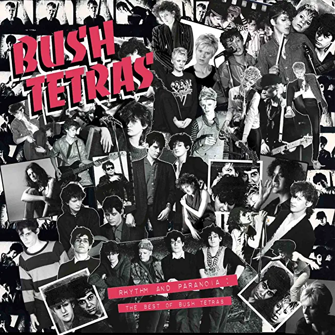 RHYTHM & PARANOIA: THE BEST OF BUSH TETRAS