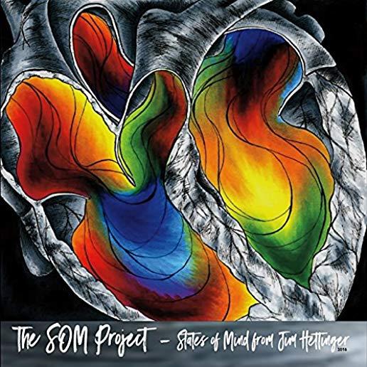 SOM PROJECT