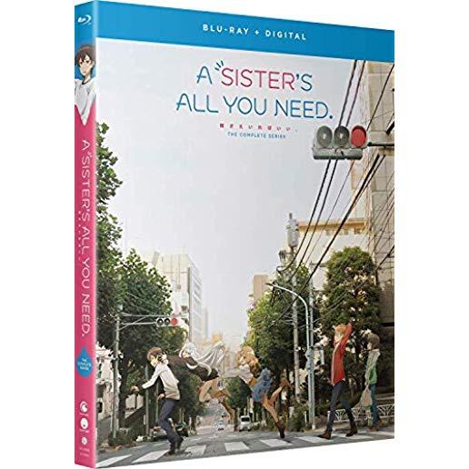 SISTER'S ALL YOU NEED: COMPLETE SERIES (2PC)