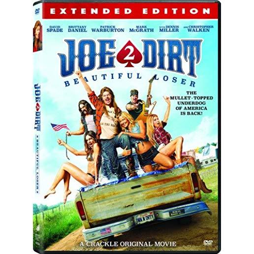 JOE DIRT 2 BEAUTIFUL LOSER / (AC3 DOL SUB WS)