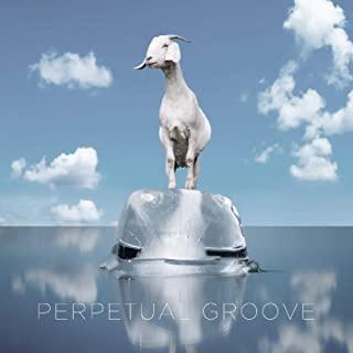 PERPETUAL GROOVE